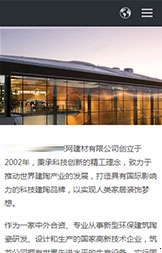 项目展示界面