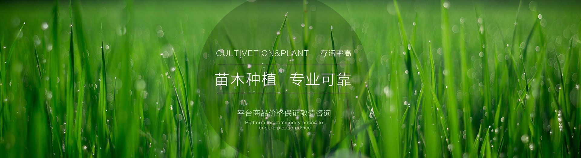 幻灯一