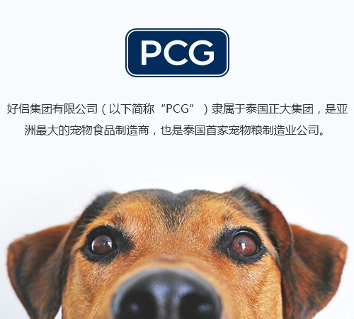 好侣互动型官网上线