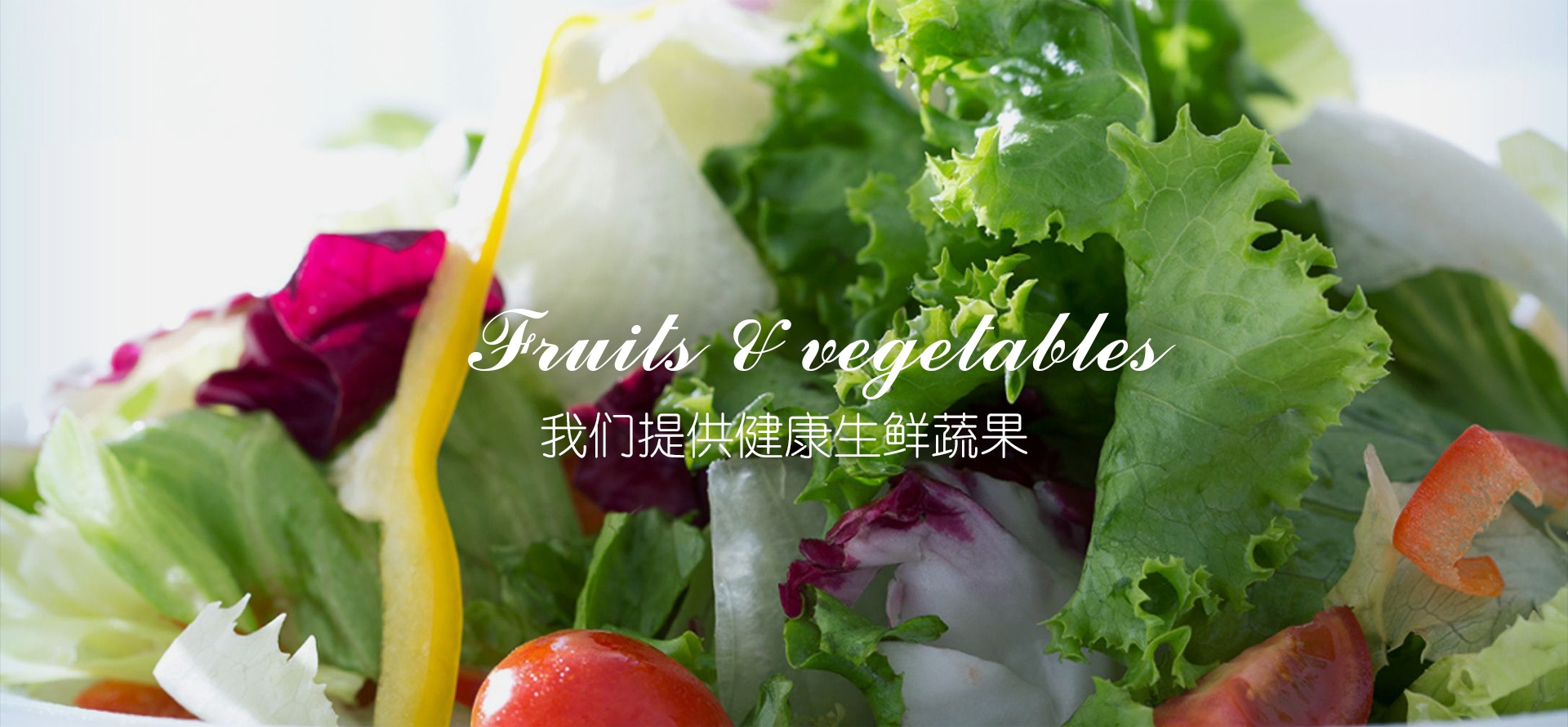 FOODLAND 鲜蔬主视觉横幅