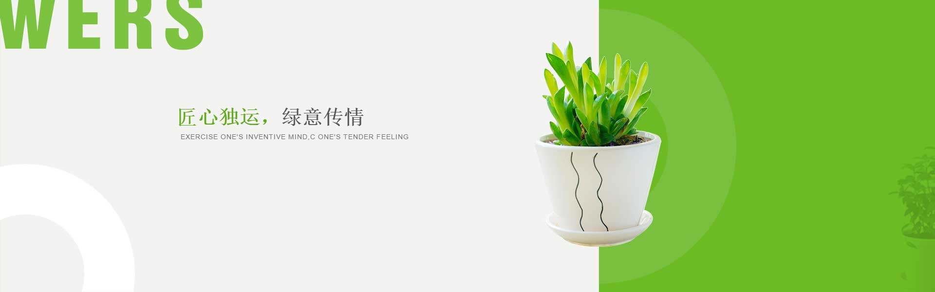 青序花艺绿植首页横幅