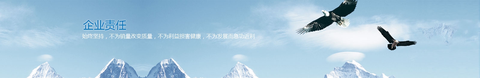 企业责任