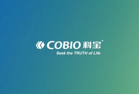 科宝企业官网建设