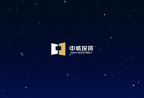 中城品牌官网设计