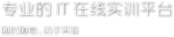 项目制 IT 技能成长平台