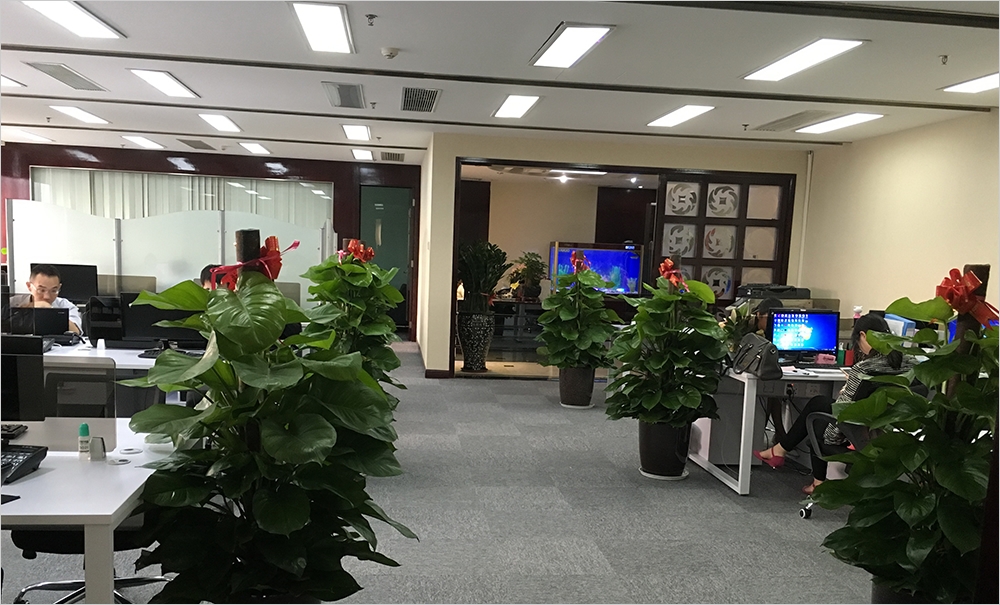 澄衡资本项目研讨与办公环境